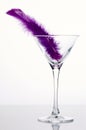 Martini glass with purple feather Royalty Free Stock Photo