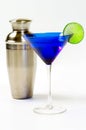 Martini glass and shaker Royalty Free Stock Photo