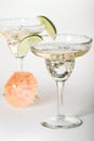 Martini glasses with cocktails Royalty Free Stock Photo