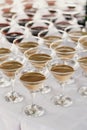 Martini rows on table at wedding reception. Cocktails and red and white martini in glasses at alcohol bar at wedding or christmas Royalty Free Stock Photo