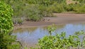 Martinique, picturesque city of Tartane in West Indies