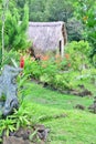 Martinique, picturesque city of les trois ilets in West Indies