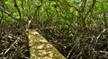 Martinique, picturesque city of Tartane in West Indies