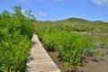 Martinique, picturesque city of Tartane in West Indies