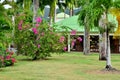 Martinique, picturesque park in the city of Sainte Anne in West Indies