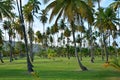 Martinique, picturesque park in the city of Sainte Anne in West Indies