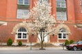 Martinsburg, West Virginia. Facades of brick buildings Royalty Free Stock Photo