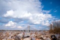 Martinus Nijhoff bridge crossing river Waal