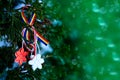 Martisor on green natural background - Moldavian and Romanian spring symbol. Martisor is a red and white string which is offered