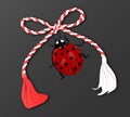 Martisor with ladybug