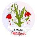 Martisor, Moldavian and Romanian traditional spring holiday, legend. Bouquet of white and red snowdrops with drops of blood.