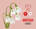 Martisor, Moldovan and Romanian traditional spring holiday. Bouquet of white snowdrops.