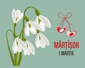 Martisor, Moldovan and Romanian traditional spring holiday. Bouquet of white snowdrops. Floral spring background