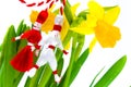 Martisor - Spring Holiday Royalty Free Stock Photo