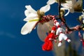 Martisor - Spring Holiday Royalty Free Stock Photo