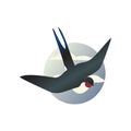 Martlet in flying action with wide open wings. Blue sky with clouds in circle shape. Wild bird. Flat vector icon