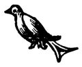 The Martlet is the heraldic charge borne by the fourth eldest son in a family vintage engraving