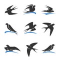 Martlet set. Vector bird