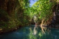 Martvili canyon in Georgia. Beautiful natural canyon with view of the mountain river