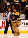 Marty Turco Boston Bruins Royalty Free Stock Photo