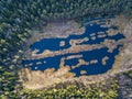 Martynovskoe lake. Aerial view. Moscow Region, Russia Royalty Free Stock Photo