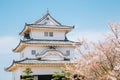 Marugame castle with cherry blossoms in Kagawa, Japan Royalty Free Stock Photo