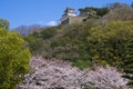 Marugame Castle in spring