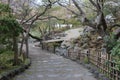 in the maruyama park in kyoto (japan) Royalty Free Stock Photo