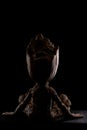 Marvel avengers kid groot isolated on black background. Cinema style.