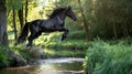 Dynamic Equestrian Leap: Black Stallion Soaring Over a Serene Creek