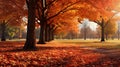 A mesmerizing display of autumn\'s beauty, with trees adorned in shades of red and orange.