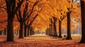 A mesmerizing display of autumn\'s beauty, with trees adorned in shades of red and orange.