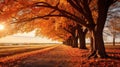 A mesmerizing display of autumn\'s beauty, with trees adorned in shades of red and orange.