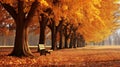 A mesmerizing display of autumn\'s beauty, with trees adorned in shades of red and orange.