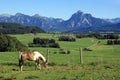 The marvellous mountain landscape of Bavaria