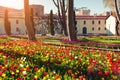 Marvellous tulips in the Gulhane Rosehouse park, Istanbul.