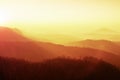 Marvelous daybreak above valley full of colorful mist. Peaks of high trees are sticking up to sky. Landscape in warm colors.