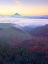 Marvelous daybreak above valley full of colorful mist. Peaks of high trees