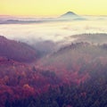 Marvelous daybreak above valley full of colorful mist. Peaks of high trees