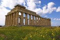Marvelous greek temple Royalty Free Stock Photo