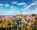 Marvelous morning view of Stafnesviti lighthouse. Blooming pink flowers on the foreground.