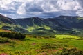 Marvelous summer day. The lawns are covered by pink rhododendron flowers. Beautiful photo of mountain landscape. Royalty Free Stock Photo