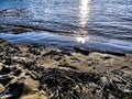 Sandy beach and blue water at  Sundown over the riverside of the river Rhein in Cologne with sky, clouds and bridge Royalty Free Stock Photo