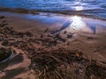 Sandy beach and water at Sundown over the riverside of the river Rhein in Cologne with sky, clouds and bridge Royalty Free Stock Photo