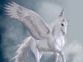 Marvelous White Pegasus