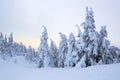 Marvelous winter sunrise high in the mountains in beautiful forests and fields. Tourist scenery. Fabulous winter background.