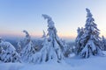 Marvelous winter sunrise high in the mountains in beautiful forests and fields. Tourist scenery. Fabulous winter background.