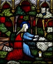 Mary Magdalene in stained glass Royalty Free Stock Photo