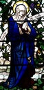 Mary, mother of Jesus folding her hands (stained glass) Royalty Free Stock Photo