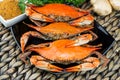 Maryland blue crabs. Steamed crabs. Crab fest. Royalty Free Stock Photo